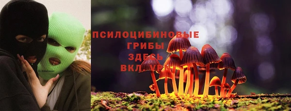 ешки Заволжск