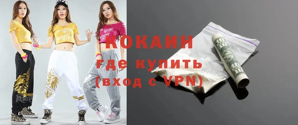 крисы Щёлкино
